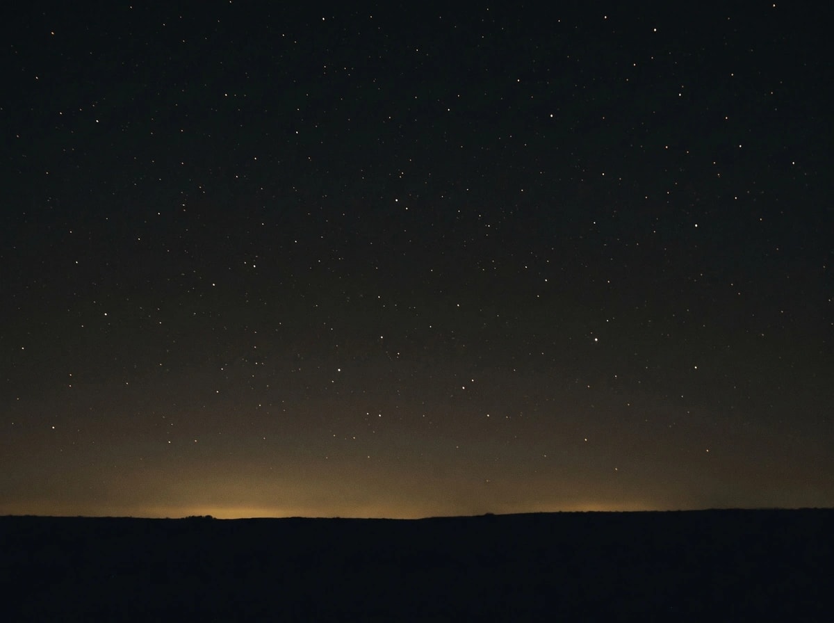 Un cielo nocturno despejado sobre un paisaje oscuro, con las estrellas como pequeños puntos de latón.